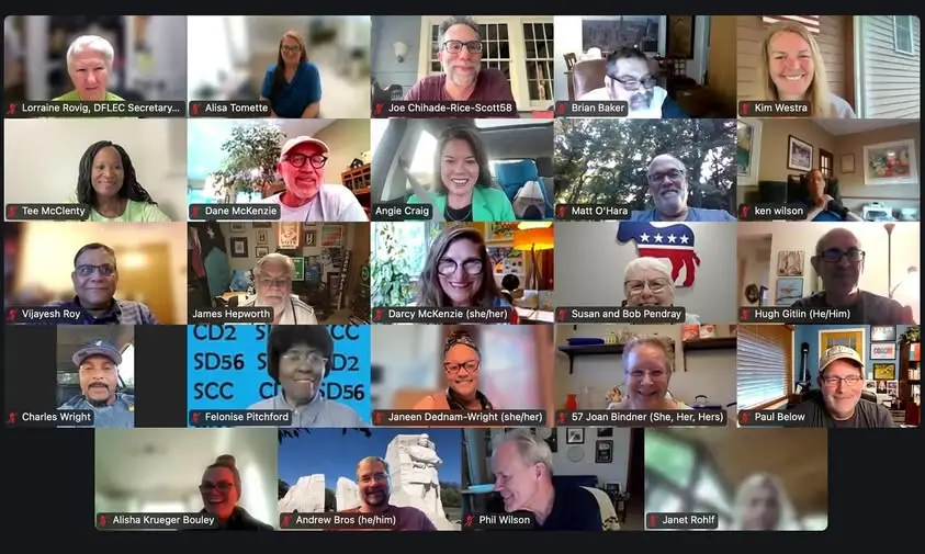 DFL CD2 Central Committee Meeting on Zoom